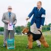 Jeb with handler Evan Trefall
